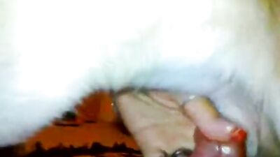 Fast jerk to dog