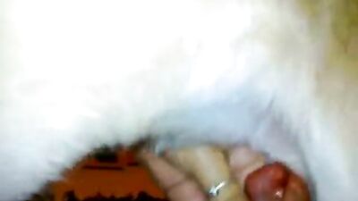 Fast jerk to dog