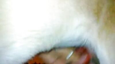 Fast jerk to dog