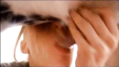 Fast dog cum