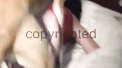 tight pussy