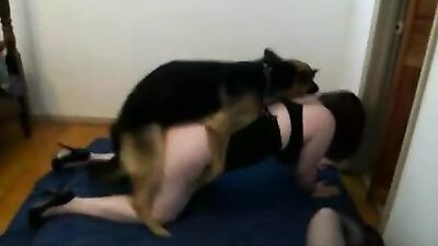 The dog ends up in my pussy