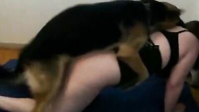 The dog ends up in my pussy
