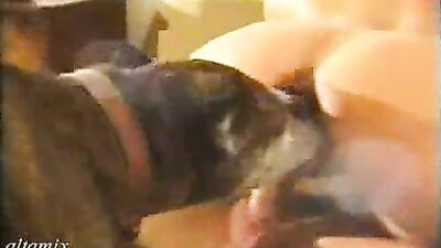 The dog participates in our sexual games