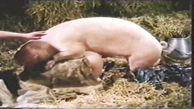 vintage scene in the stable