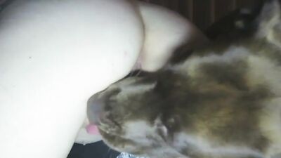 Delighted with animal sex