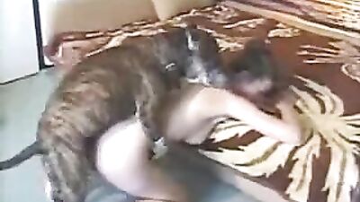 The animal helps me finish