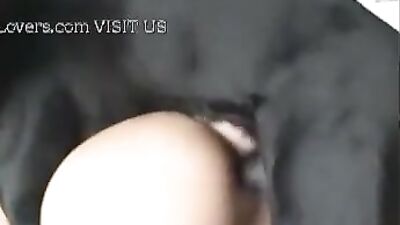 two women fucking their dog