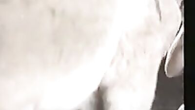 Donkey suck