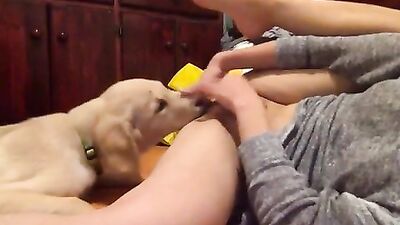 Dog lick meanwhile i am masturbating