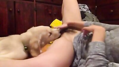Dog lick meanwhile i am masturbating