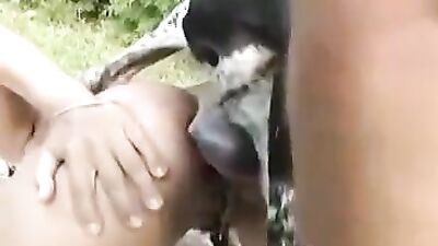 Dog Cum Ass And Mouth