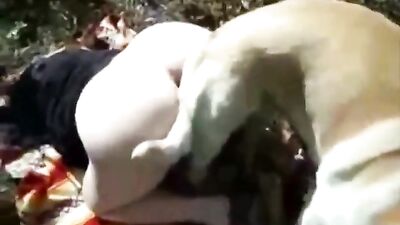Dog Fuck Girl 6