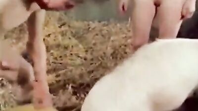 Horny old man and farmsex