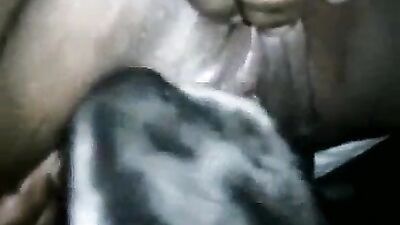 Dog lick black pussy