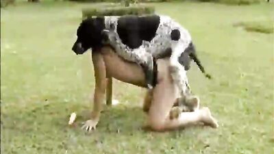 Dog Knot Mix