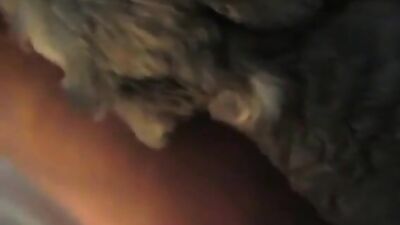 Girl in panties gives herself to her puppy 2