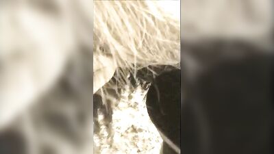 Girl sucking horse pussy