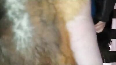 Big pony cock