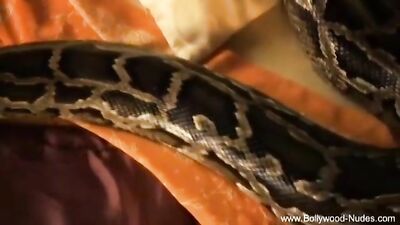 Bollywood and The Sexy Snake Porn Video