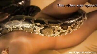 Bollywood and The Sexy Snake Porn Video