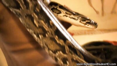 Bollywood snake sex