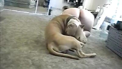 Big Butt Girl and her Boxer