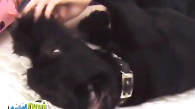Ariels Wild Animal Lover Session Gets Filthy