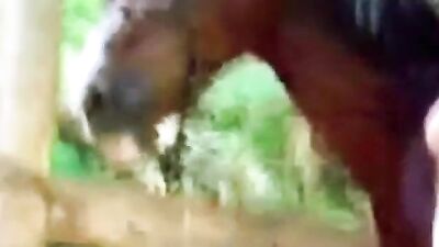 Marianal sucks a huge horse cock