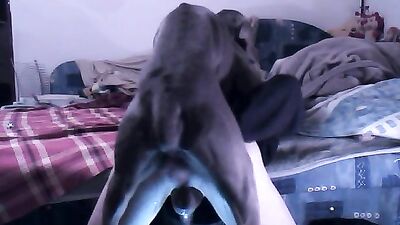 The boy likes the dog to penetrate him