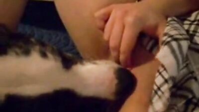 Forbidden Family Lewdness: Cousin Bends Over for Dogs Throbbing Cock