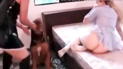 Paw-some lesbians devour a lucky hounds cock