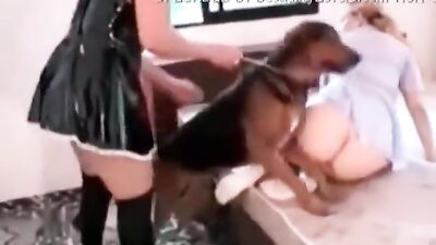 Paw-some lesbians devour a lucky hounds cock