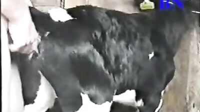 Drew from Dedham Fuckin a cow