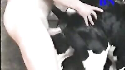Drew from Dedham Fuckin a cow
