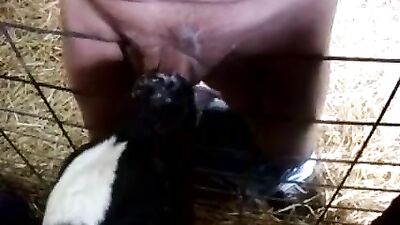 Drew from Dedham calf bj