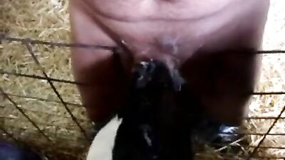 Drew from Dedham calf bj