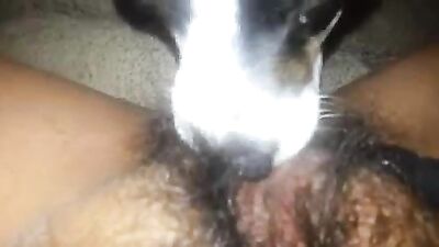 Dirty Dog Devours Juicy Japanese Milfs Hairy Cooch