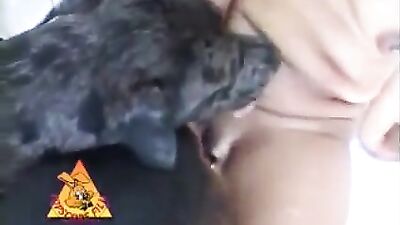 Girl fucking two dog knot