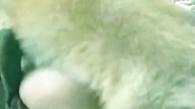 Zoofilia video my first time