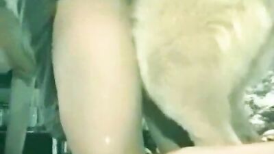 Zoofilia video my first time