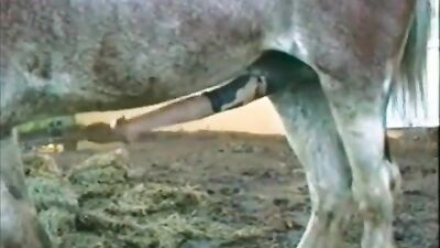 Masturbation