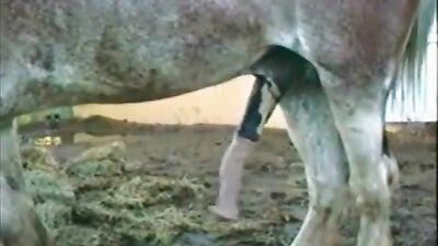 Masturbation