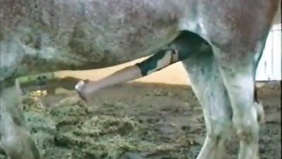 Masturbation