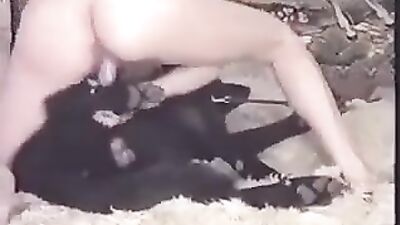 Pregnant dog lovers 2