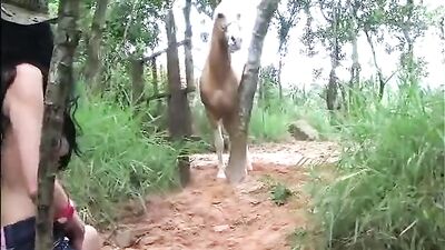 Sexy girl dancing with horse