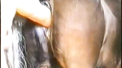 Big boob woman enjoy with pony and mare