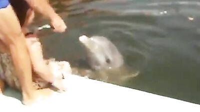 Rare video - Delfin abuses mature woman