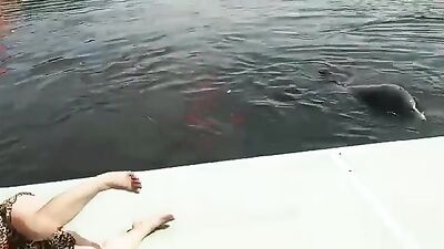 Rare video - Delfin abuses mature woman