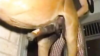 Fucking a pony